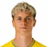 Player Image