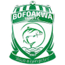 Bofoakwe Tano