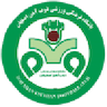 Zob Ahan