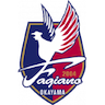Fagiano Okayama