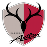 Kashima Antlers