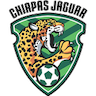 Jaguares