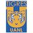 Tigres UANL