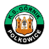 Górnik Polkowice