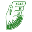 Pelikan Łowicz