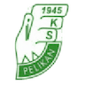Pelikan Łowicz