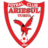 Ariesul Turda