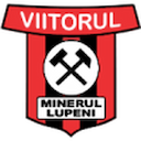 Minerul Lupeni