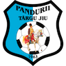 Pandurii Târgu Jiu