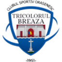 Tricolorul Breaza
