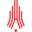 Amkar Perm