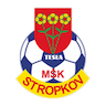 MSK Tesla Stropkov