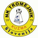 Tromejnik