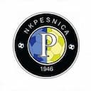 Partizan Pesnica