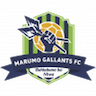 Marumo Gallants