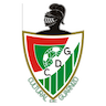 Guarnizo