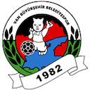 Vanspor FK