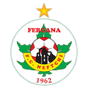 Neftchi