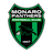 Monaro Panthers