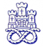 Newcastle Town