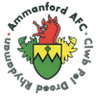 Ammanford