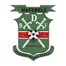 BDF XI