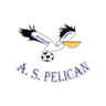 Pelican Lambarene
