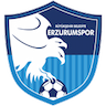 Erzurumspor