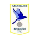 Abertillery Bluebirds