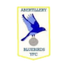 Abertillery Bluebirds