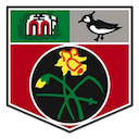 Undy Athletic