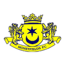 Moneyfields