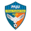 Paju