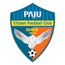 Paju