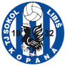 Sokol Libiš