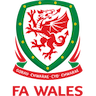 Wales U17 W