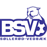 BSV
