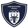 Bucovina Rădăuţi