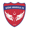 Niğde Anadolu