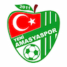 Yeni Amasyaspor