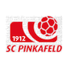 Pinkafeld