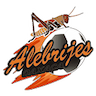 Alebrijes de Oaxaca