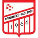 Ayvalıkgücü Belediyespor