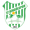12 Bingol