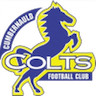 Cumbernauld Colts