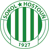 Sokol Hostouň