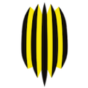 Rukh Vynnyky