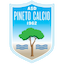 Pineto