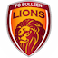 Bulleen Lions