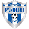 Viitorul P. Târgu Jiu